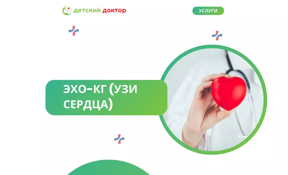 ЭХО-КГ (УЗИ сердца)